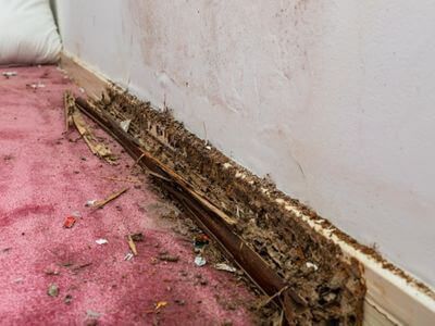 About Water Restoration Master - water damage restoration experts in Tolleson, AZ